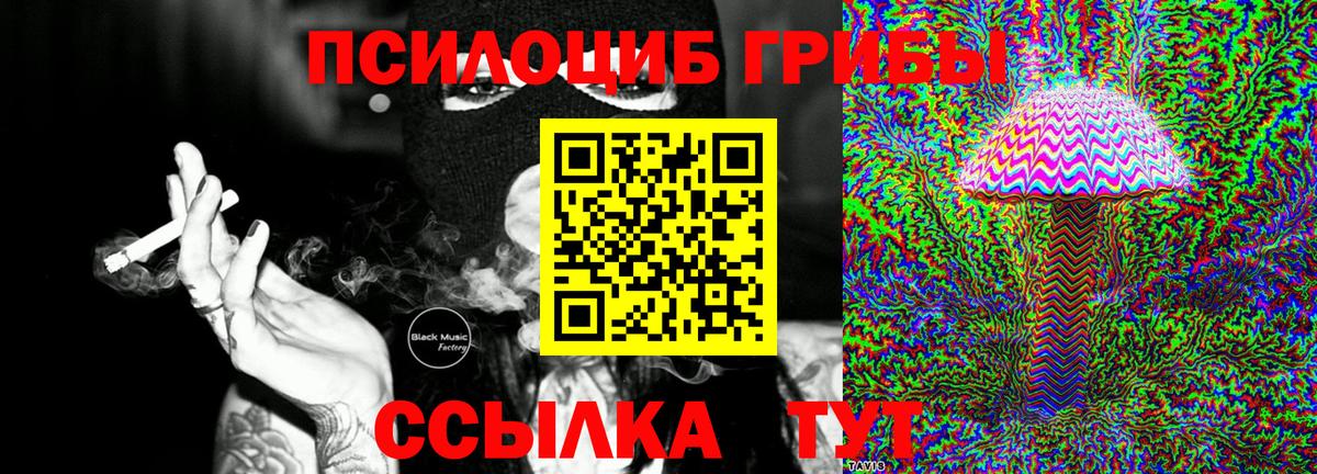 Псилоцибиновые грибы Cubensis Орехово-Зуево
