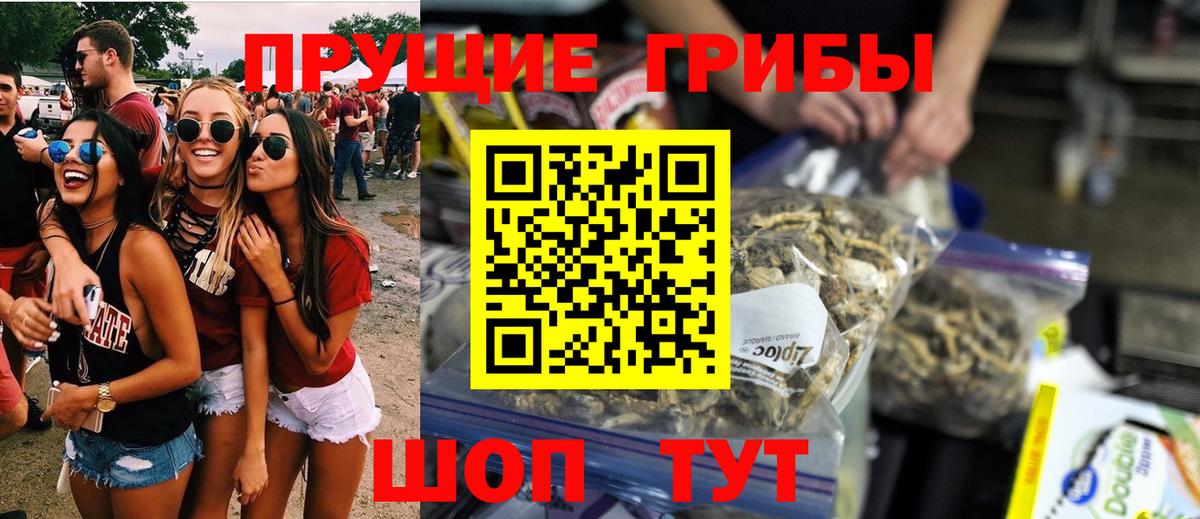 Орехово-Зуево  купить наркотики цена  Вход с VPN  Галлюциногенные грибы GOLDEN TEACHER  Псилоцибиновые грибы прущие грибы 